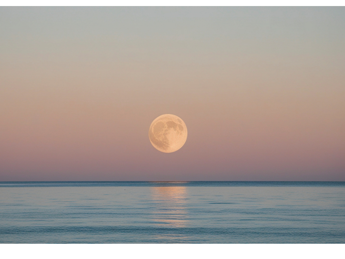 A calm ocean night reflecting JZL's healing atmosphere in Fukuoka